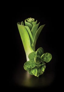 A fresh leak and spinach leaf bundle on a black background.